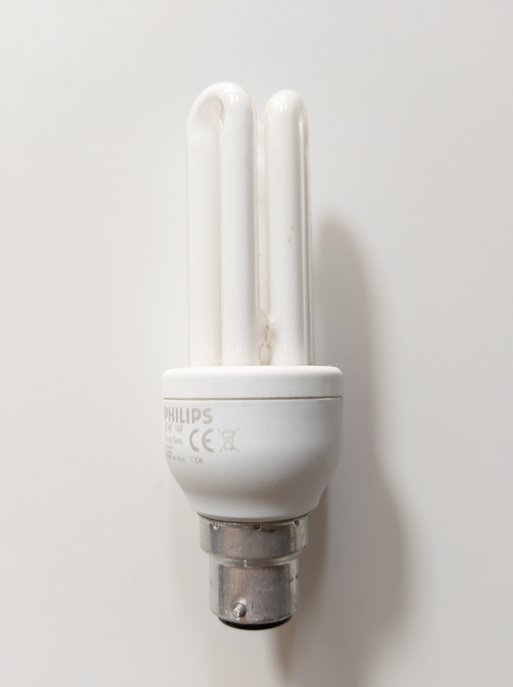 A photo of a loop CFL bulb