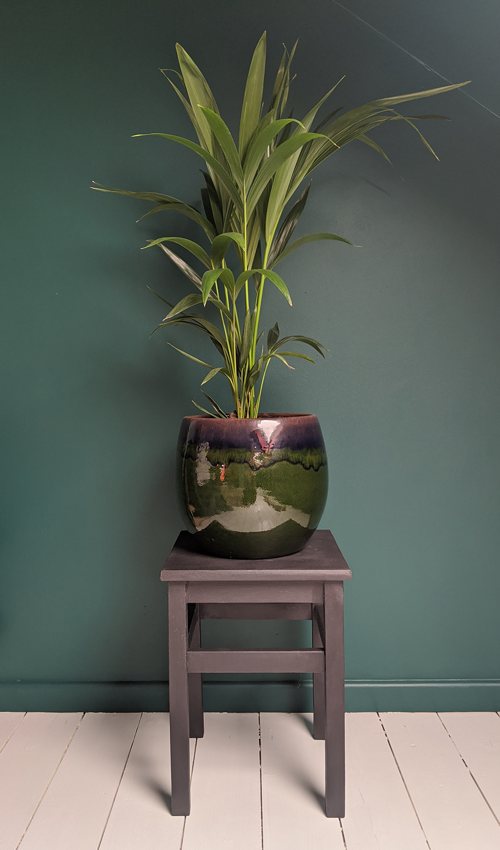 A photo of the newly painted plant stand, with a tall Kentia palm plant on it.