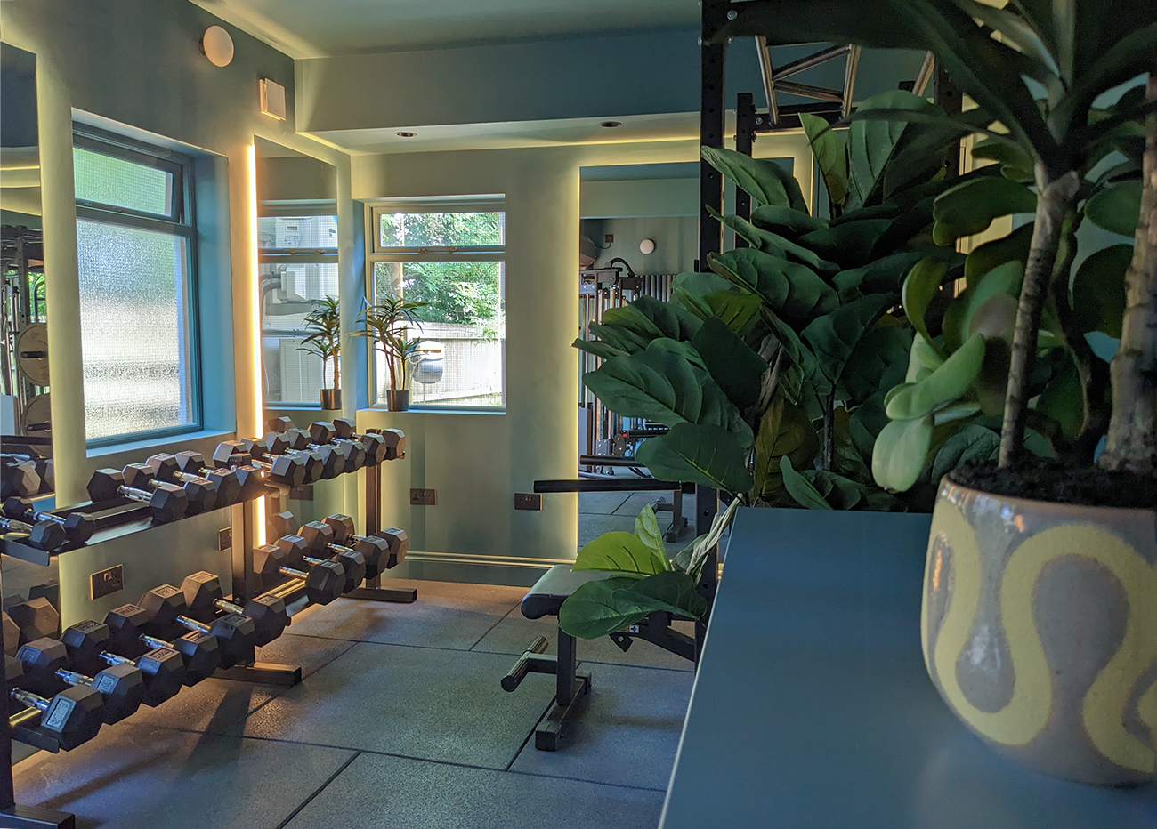 A photo of the finished gym, looking through the plants towards the weights and the window beyond.