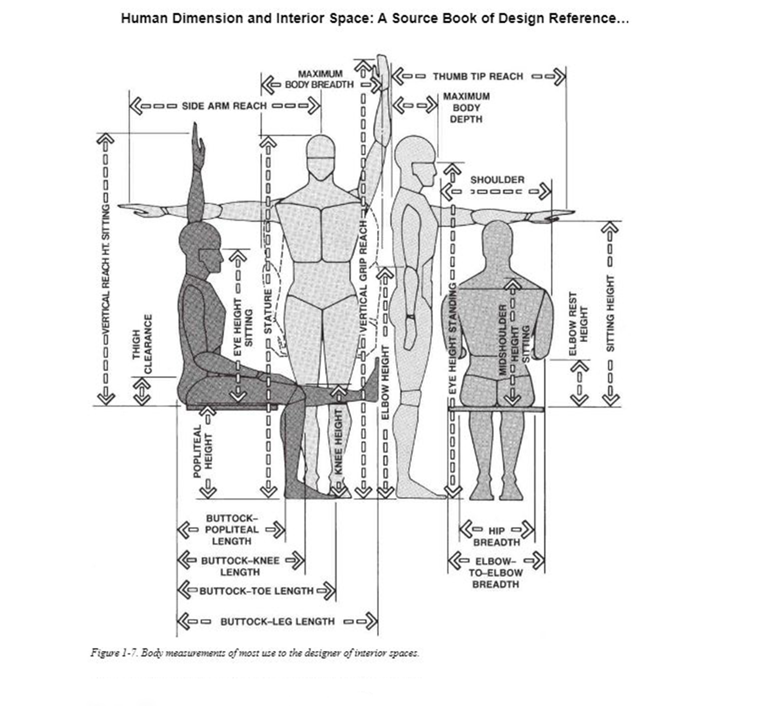 A photo of the inside of the book 'Human Dimension & Interior Space' showing the range of human movement