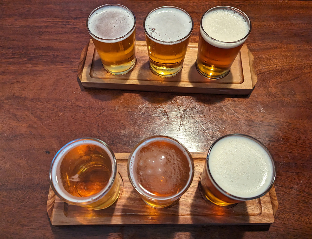 a selection of 3 pints of beer