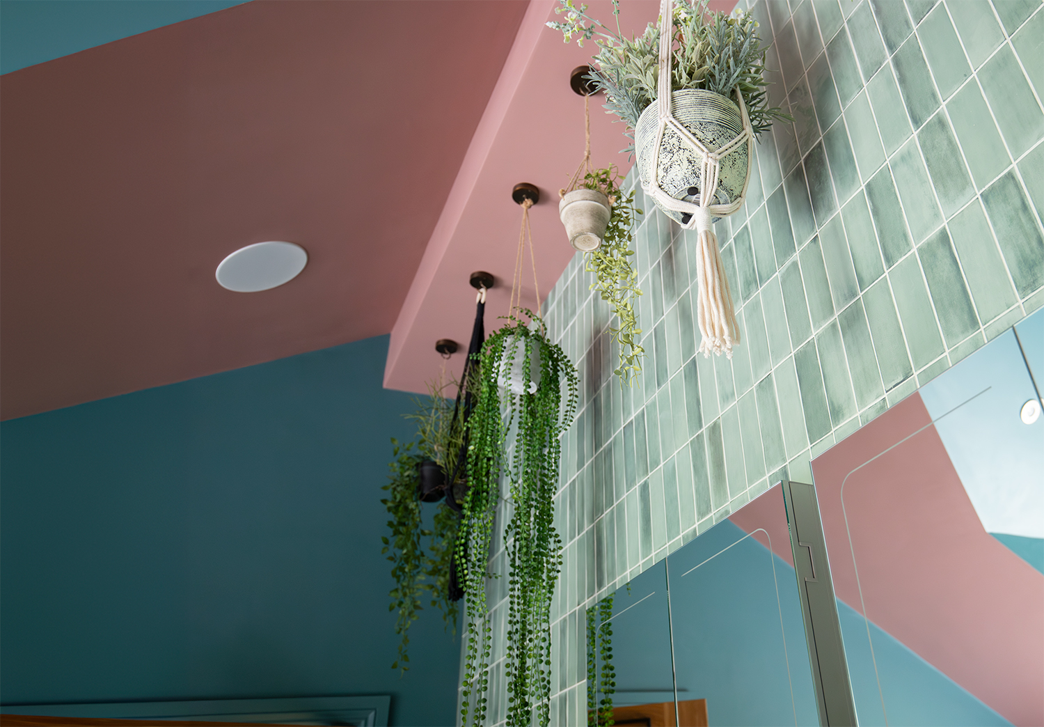 A photo of the ceiling showing one of the speakers and the hanging plants.