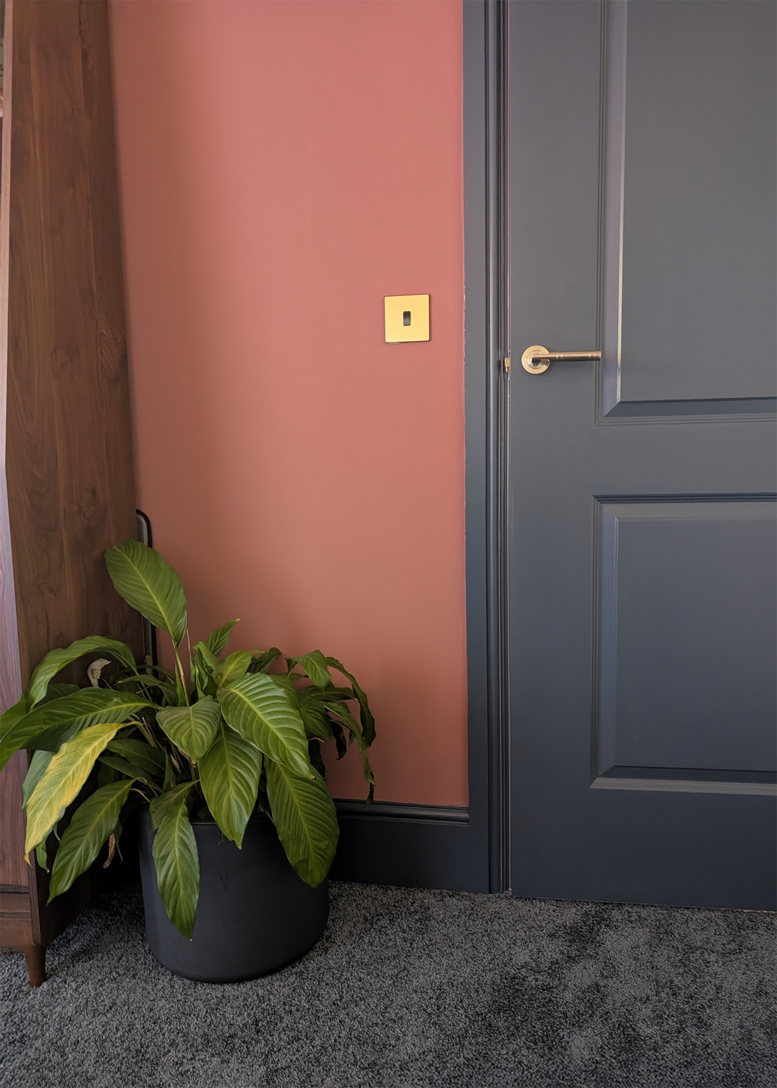 A new build home office with blue door