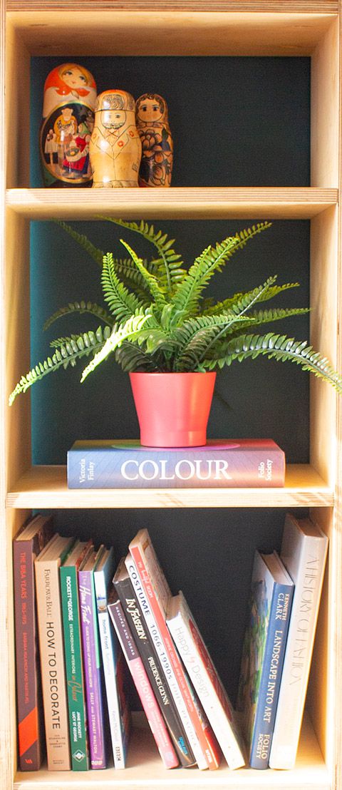 A close up of the bookcase with books, a fern plant and some Russian dolls.