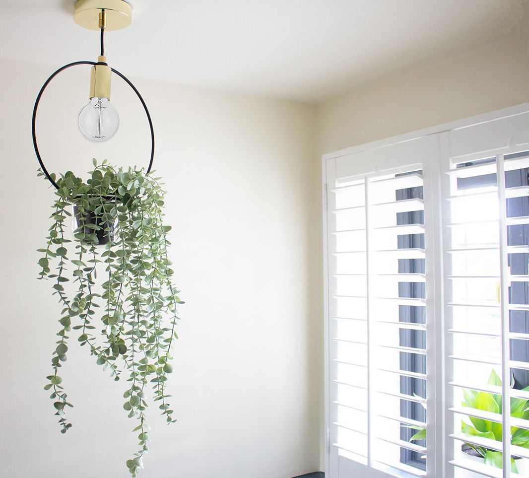 A photo of the hanging planter light fitting in the downstairs loo.